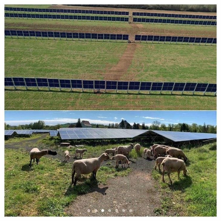 Ramming Piles Ground Solar Mounting Structures