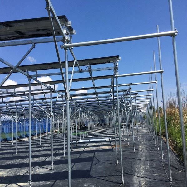 solar farm mount system