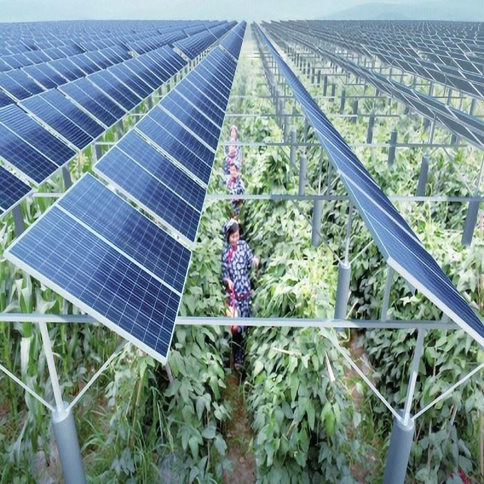 solar farm structures