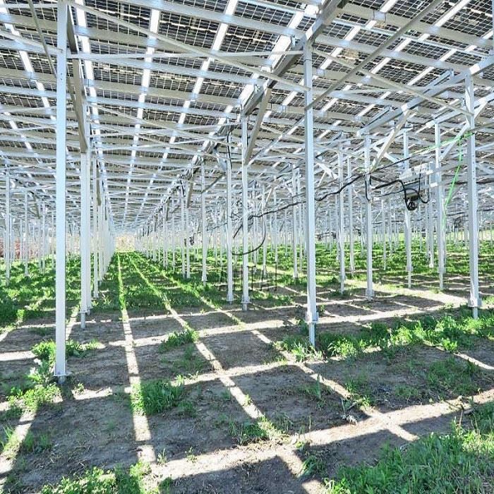 solar farm racking